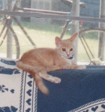 baby pixel