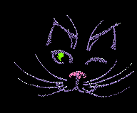 Cat Face