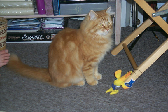 Ember with Toy