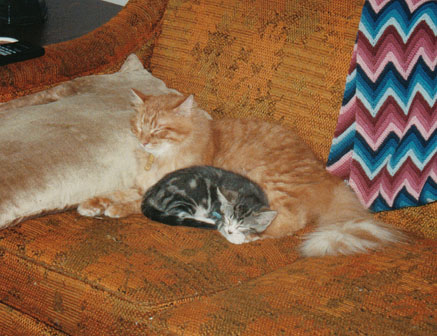 Sunny with Baby Tribble