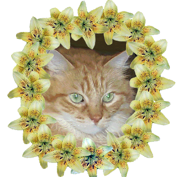 My Sunny Baby - Memorial Picture
